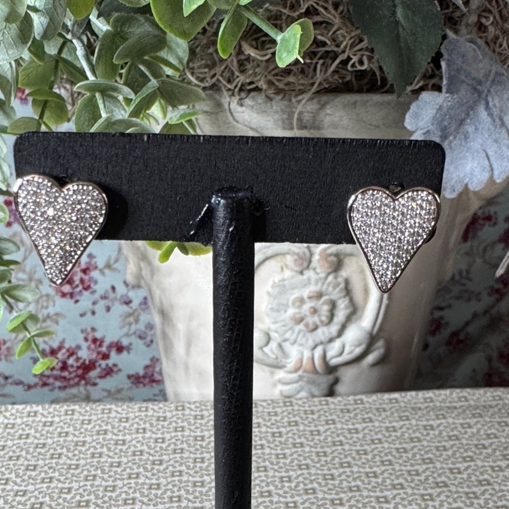 Heart Shaped Stainless Steel Earrings NWOT